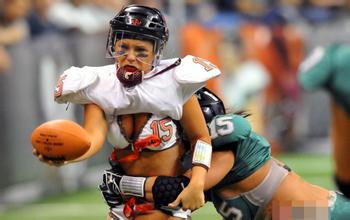 ǧ������ר����Ƶ����������Ԥ���ڵ�15���С�����Ҫ���̡� ҵ����ʿ����...